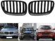 Решітки радіатору BMW X5 E53 Рестайлінг Однореберні Чорний Мат 733 фото 2